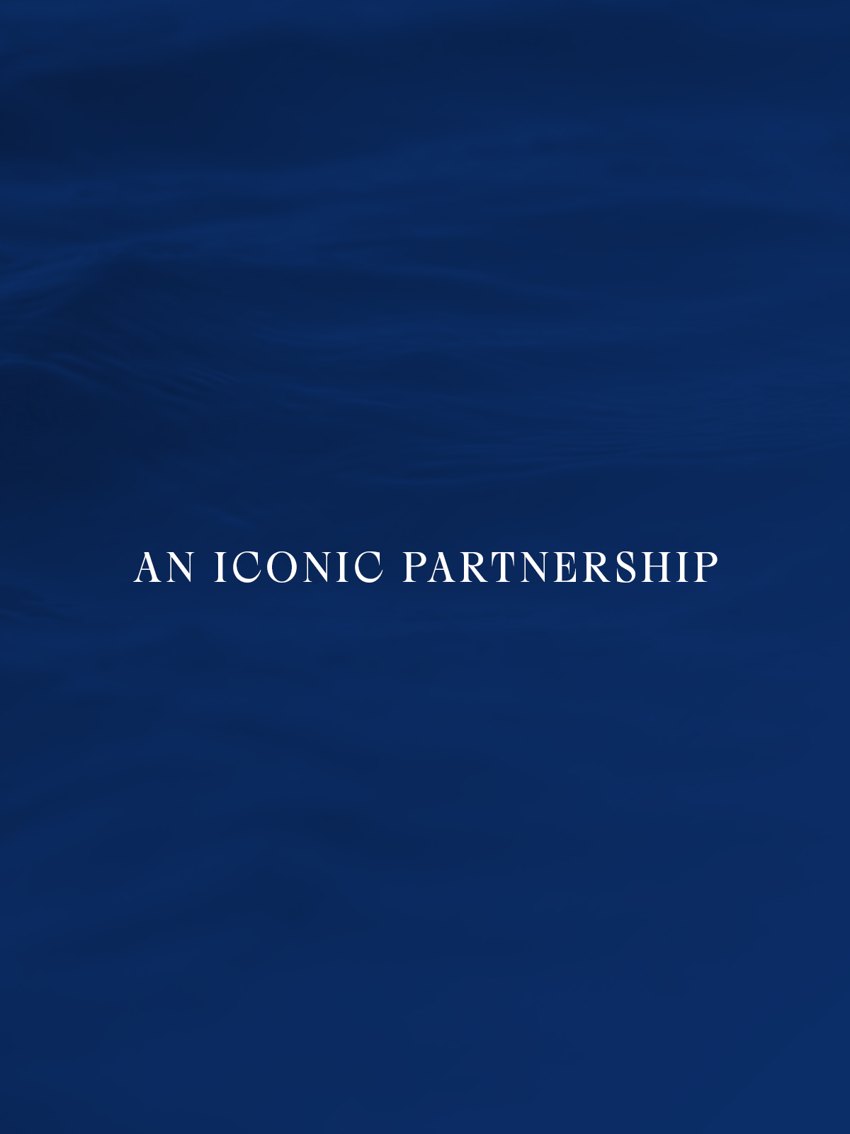 Image gallery marquee