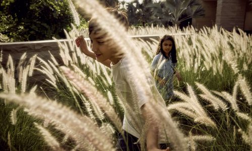 Zz1mYzM4ZmU5Y2M5YzgxMWYwYWY3ZTM2OTQ0ZjNhNjYzNA==